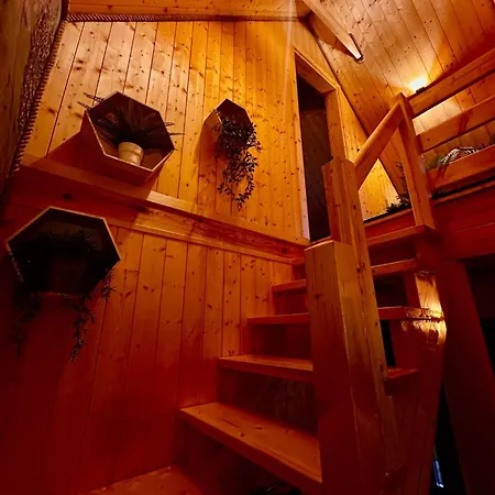 Lodge Stodola Janusz *